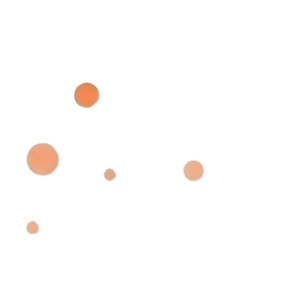 2 (1)